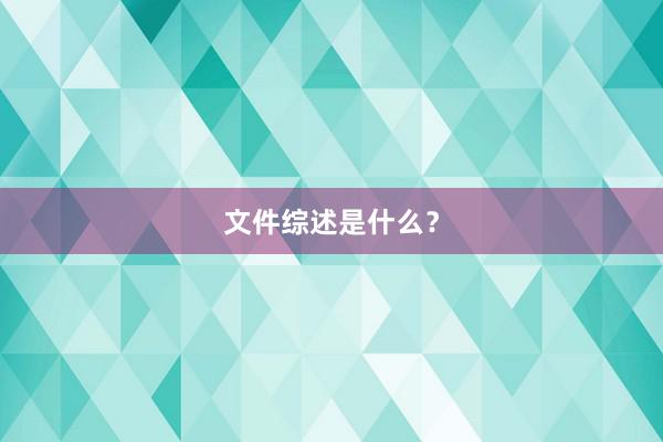 文件综述是什么？