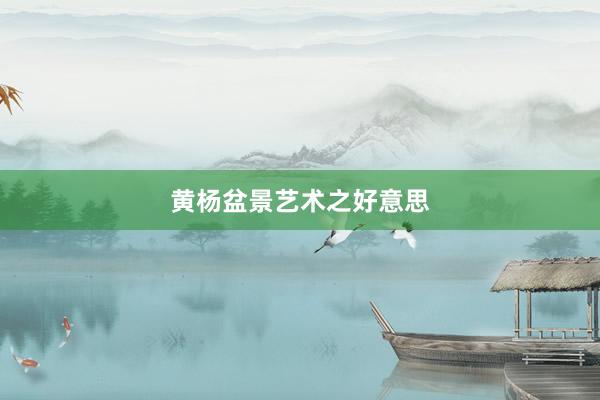黄杨盆景艺术之好意思